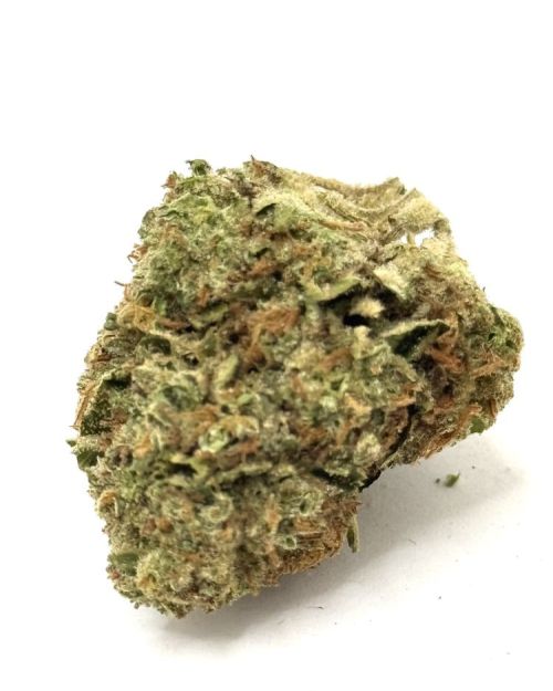 Sour Gelato- THC 27%