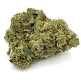 Pheno Grigio- THC 28%