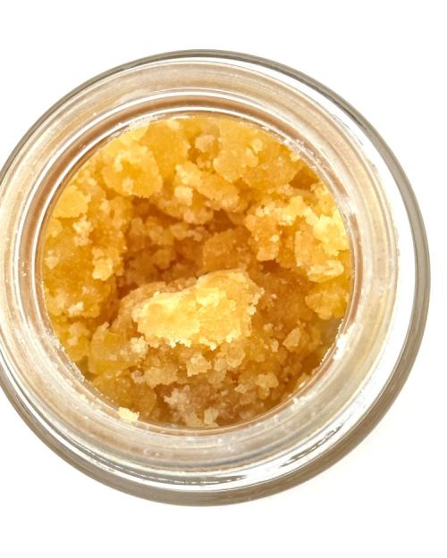 Pinecone Tarts Extract