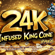 Higher Learning Diamond-Infused King Cones