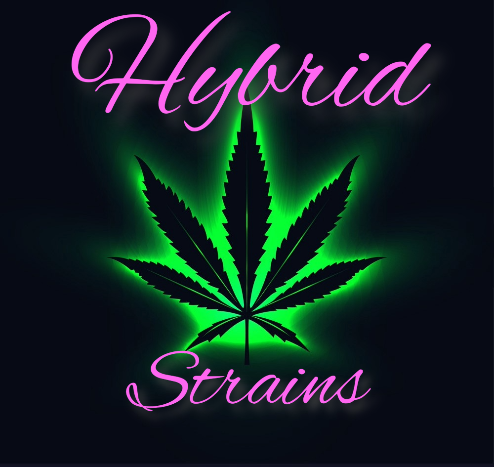 The WeedMann - Buffalo NY - Banner - Hybrid - Image0001 The WeedMann - Buffalo NY - Banner - Hybrid - Image0001